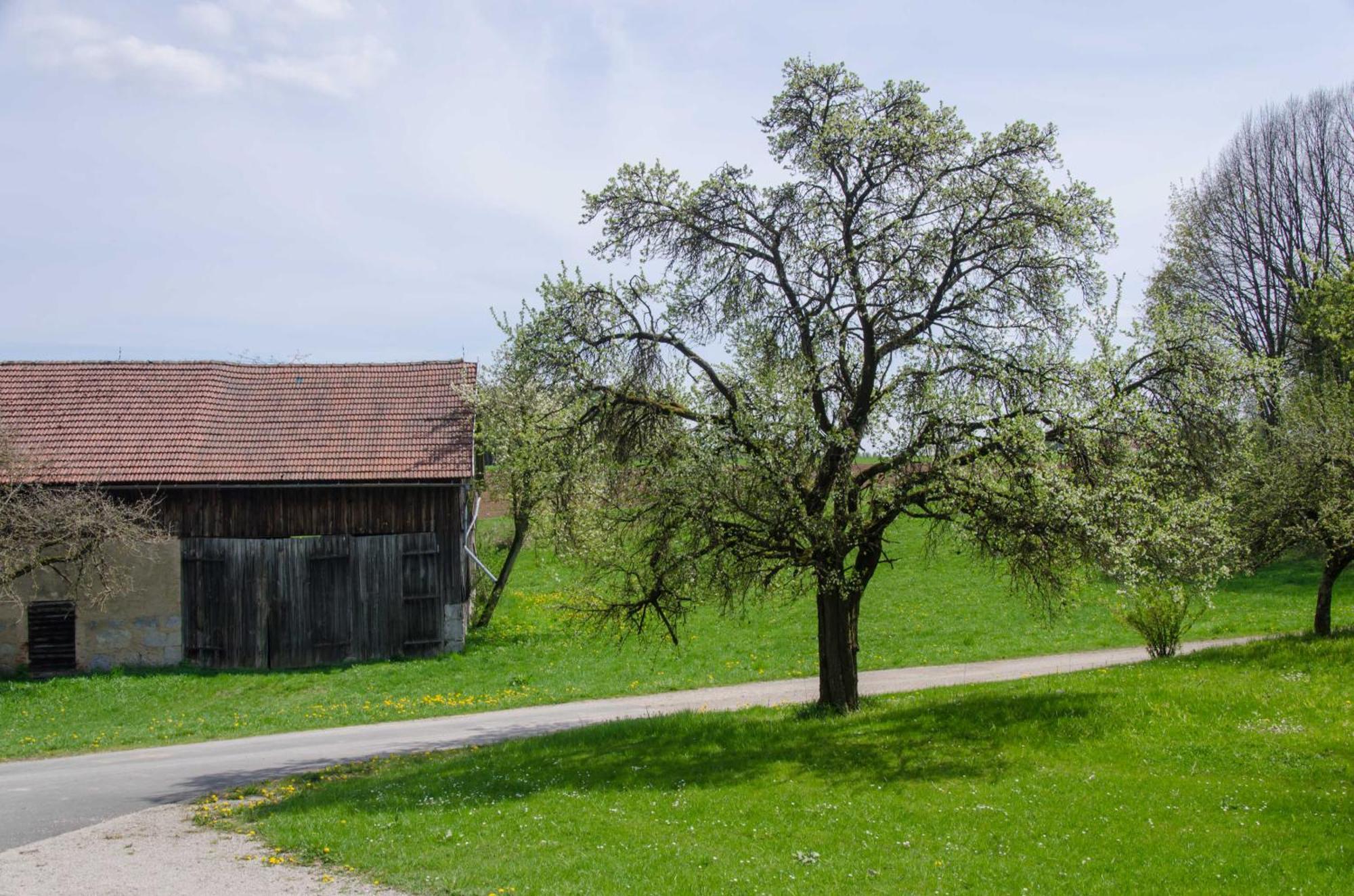 Ferienwohnung Kobelsberg Aufsess Exterior photo