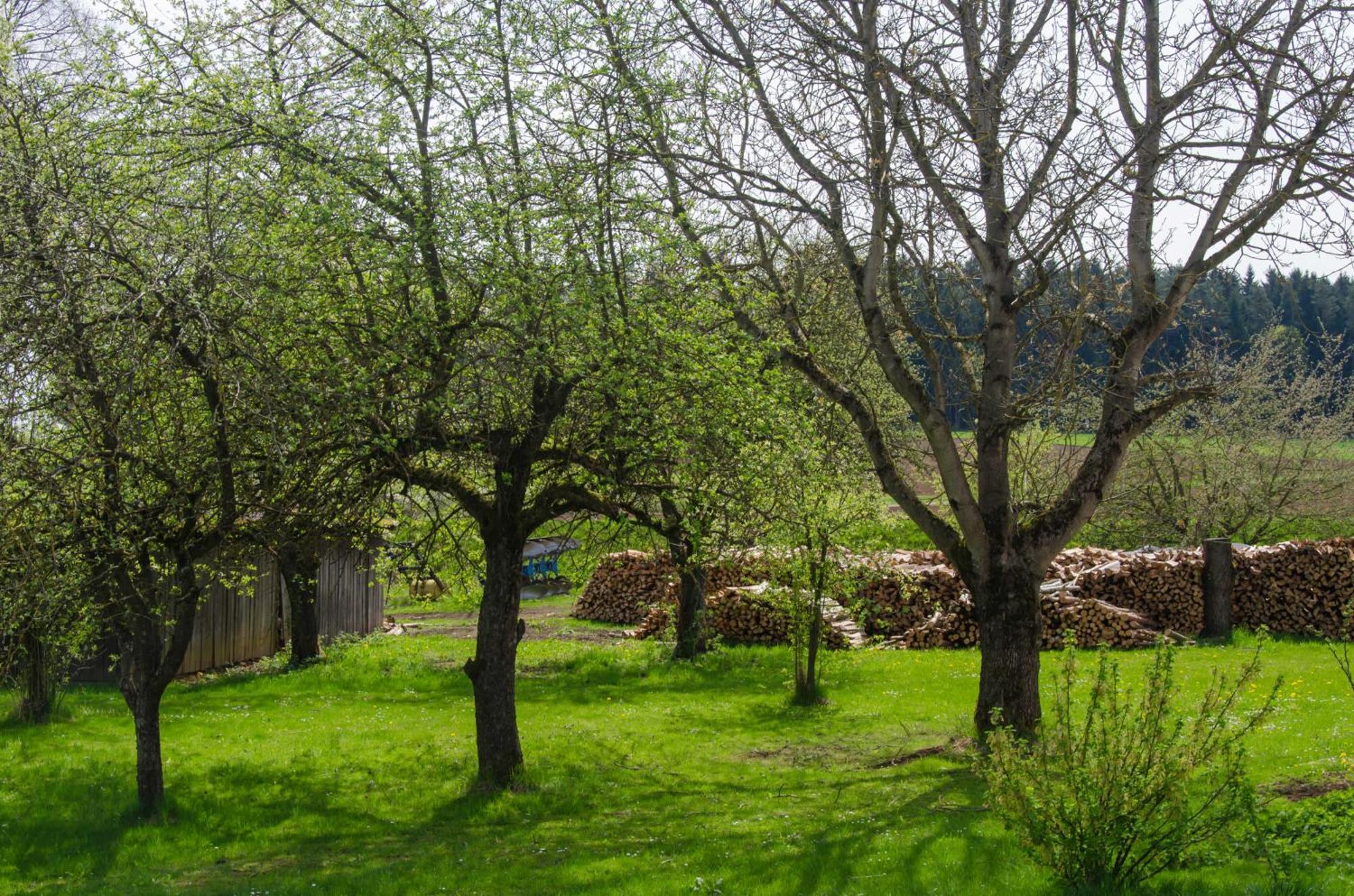 Ferienwohnung Kobelsberg Aufsess Exterior photo